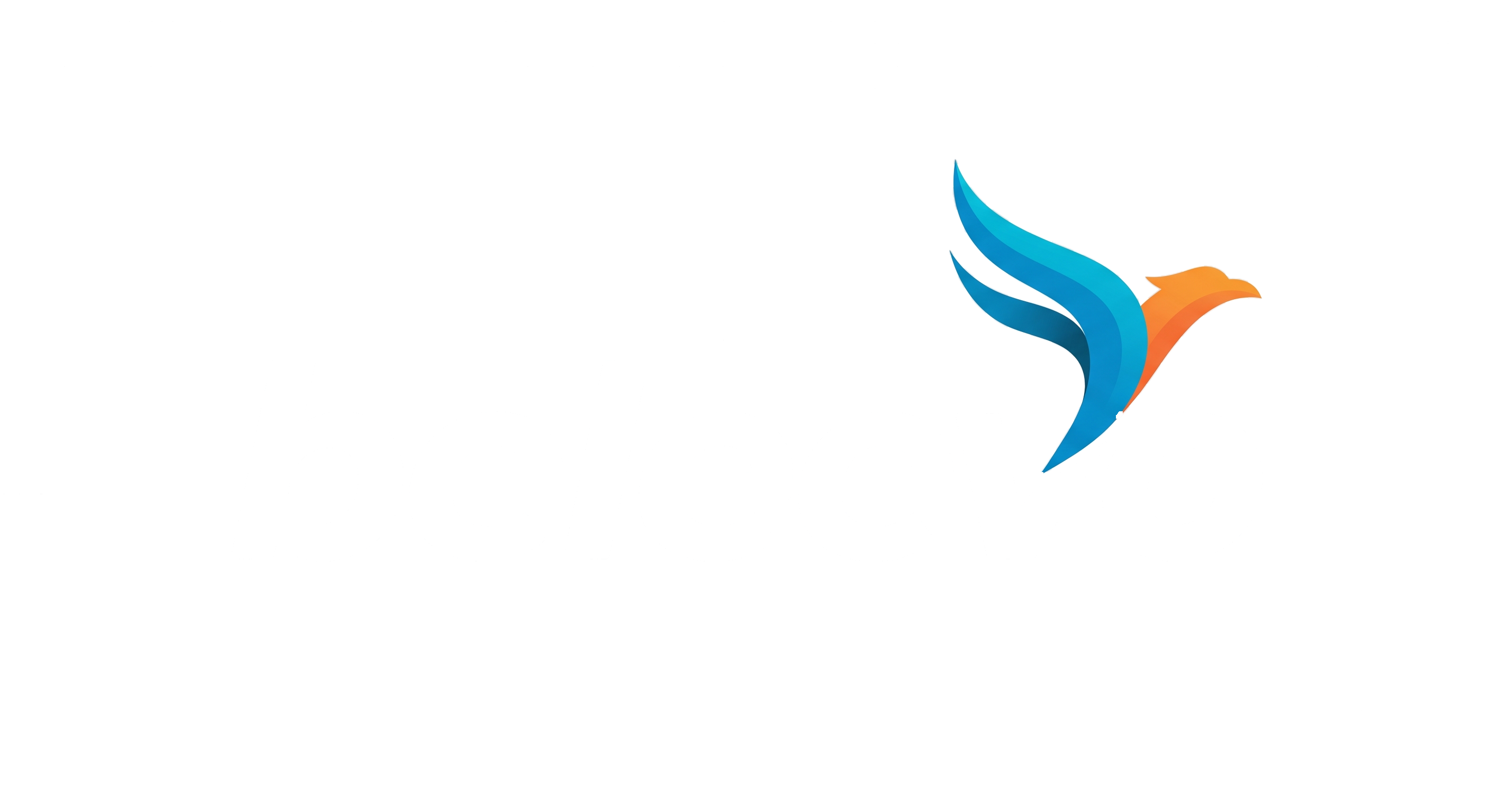 beleevo
